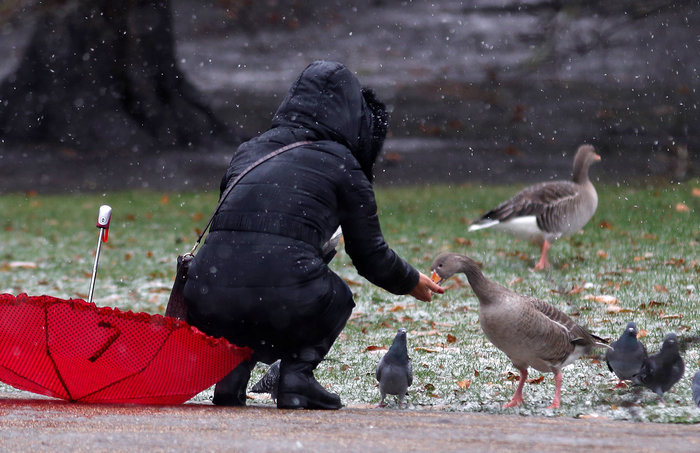 Πάγωσαν τα πάντα στη Βρετανία-ακυρώσεις πτήσεων στο Χίθροου - εικόνα 10