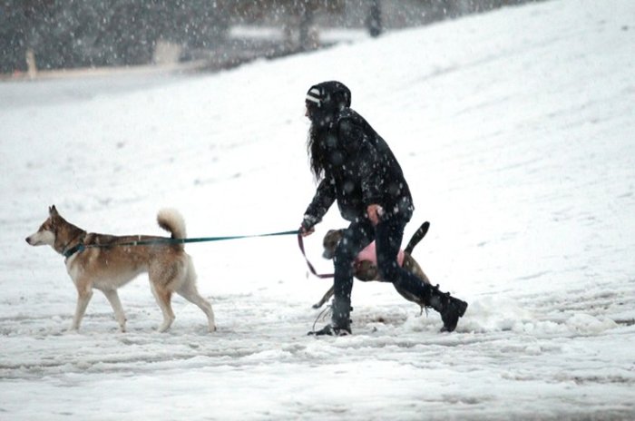 Πολικές θερμοκρασίες σε ΗΠΑ και Καναδά, το κύμα ψύχους συνεχίζεται - εικόνα 6