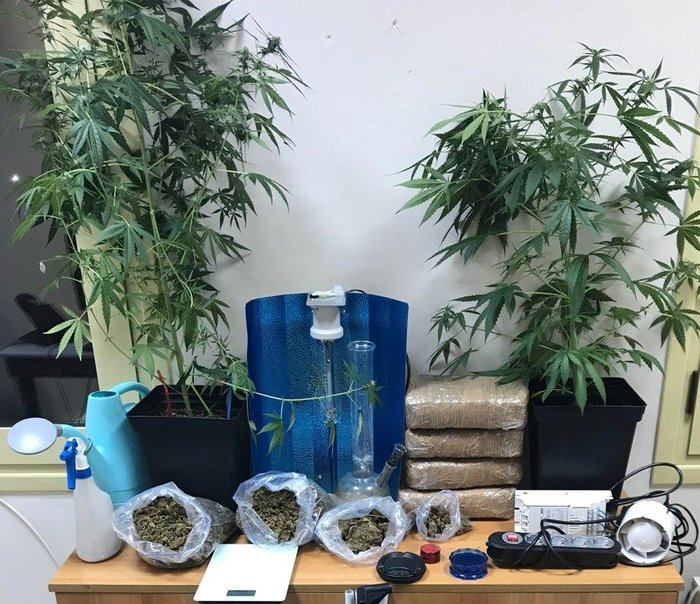 Καλλιεργητές κάναβης με υδροπονία 3 νεαροί στη θεσσαλονίκη Εικόνες - εικόνα 2