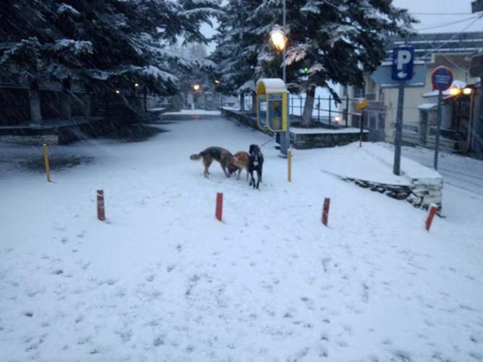 Στα «λευκά» ντύθηκαν τα ορεινά της Λάρισας [εικόνες] - εικόνα 2