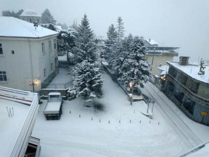 Στα «λευκά» ντύθηκαν τα ορεινά της Λάρισας [εικόνες] - εικόνα 3