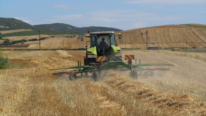 Ενέργεια από κλαδέματα και αγροτική βιομάζα- Αναξιοποίητοι 3 εκατ. τόνοι