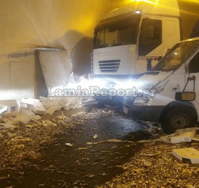 Γέμισε γαύρους η παλαιά εθνική οδός (φωτο)