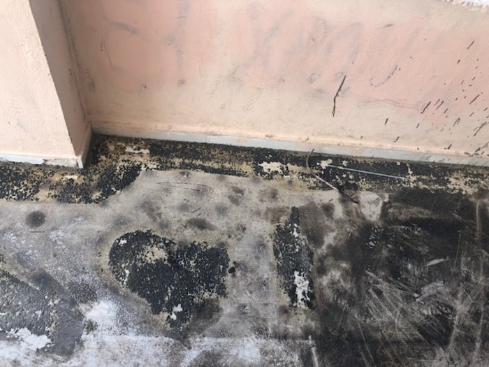 Χανιά: Νέοι βανδαλισμοί σε σχολείο για τα μαθήματα αλβανικών [ΕΙΚΟΝΕΣ] - εικόνα 3