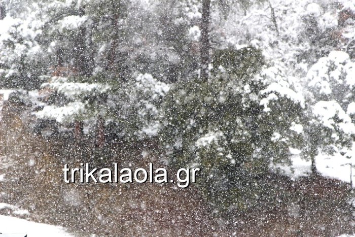 Σφοδρή χιονόπτωση στα ορεινά των Τρικάλων - Εικόνες - εικόνα 5
