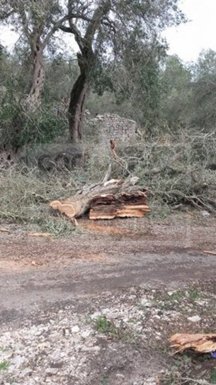 Η θάλασσα «έπνιξε» τα σοκάκια της Λάκκας των Παξών