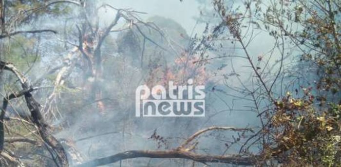 Μάχη με τις φλόγες σε δάσος στα Κρέστενα Ηλείας (φωτό)