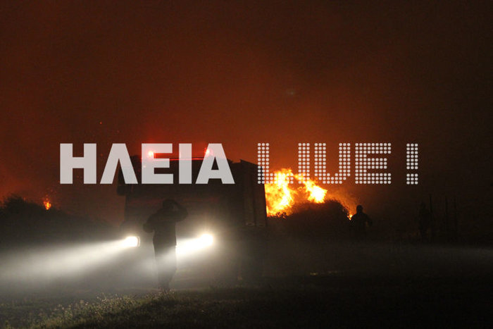 Oλονύκτια μάχη με τις φλόγες στις χαράδρες της Ηλείας - εικόνα 2