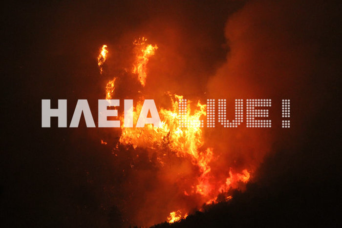 Oλονύκτια μάχη με τις φλόγες στις χαράδρες της Ηλείας - εικόνα 3