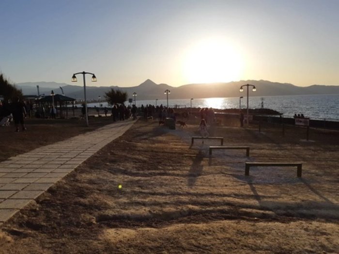 Εγκαινιάστηκε το πρώτο πάρκο σκύλων στον δήμο Ηρακλείου