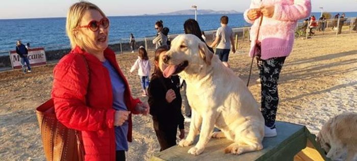 Εγκαινιάστηκε το πρώτο πάρκο σκύλων στον δήμο Ηρακλείου - εικόνα 2