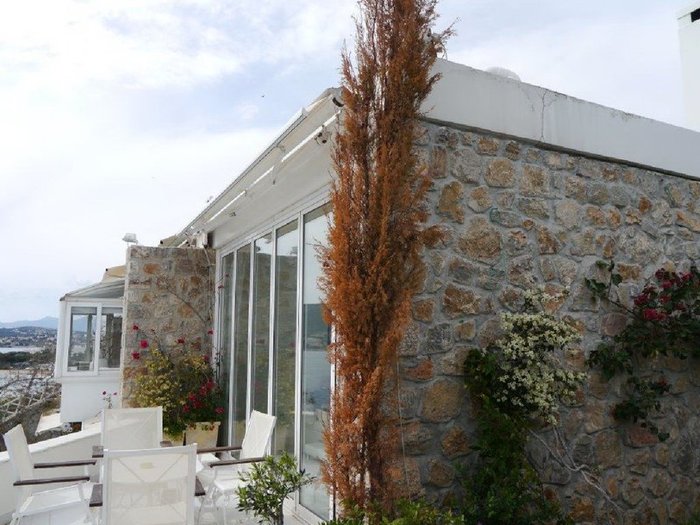 Σε ποιον είχε γράψει το σπίτι η Ζωή Λάσκαρη - η αστρονομική τιμή πώλησης - εικόνα 3