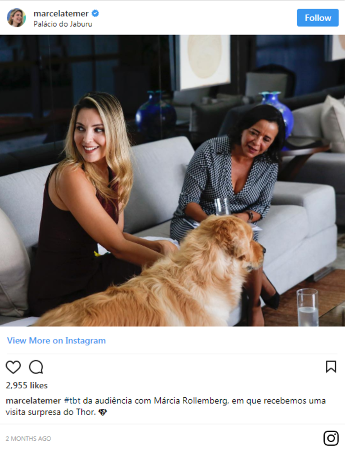 Η πρώτη κυρία της Βραζιλίας έπεσε σε λίμνη για να σώσει τον σκύλο της - εικόνα 2