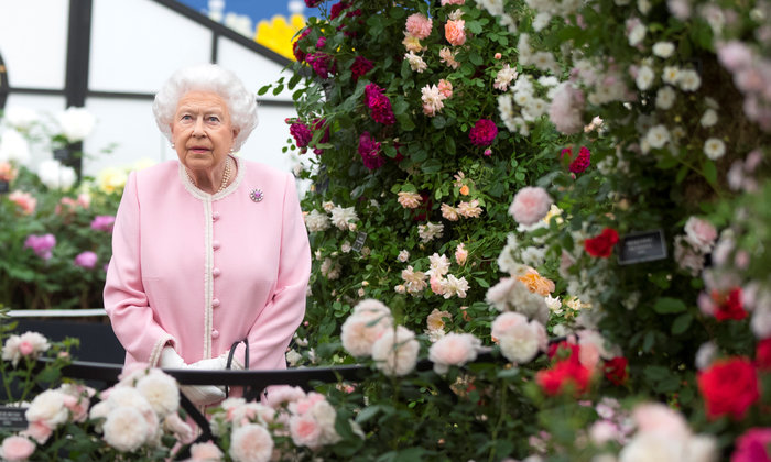 Chelsea Flower Show:  H μεγαλύτερη ανθοκομική στον κόσμο