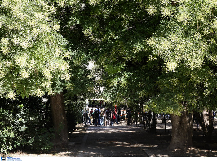 Επιχείρηση «σκούπα» στο Πεδίον του Άρεως από την ΕΛ.ΑΣ. [φωτό]