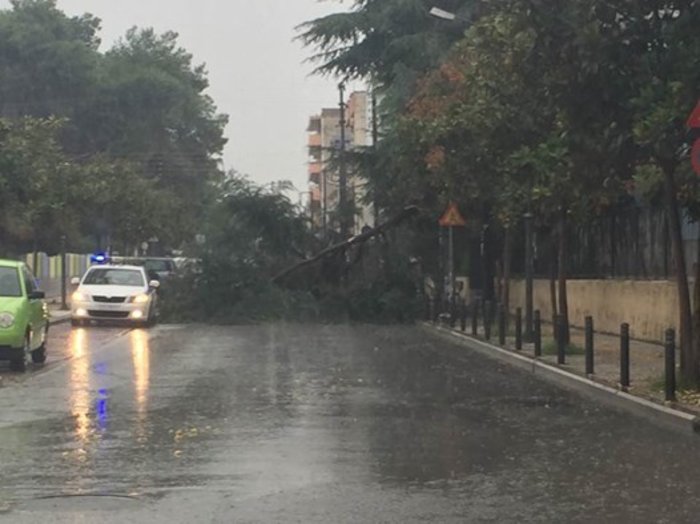 Θεσσαλονίκη: Ισχυρή βροχόπτωση και πτώσεις δέντρων