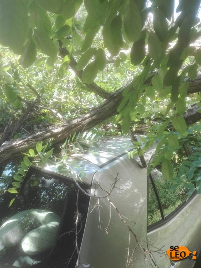 Βοριάδες, φωτιές και πτώσεις δέντρων στη Θεσσαλονίκη