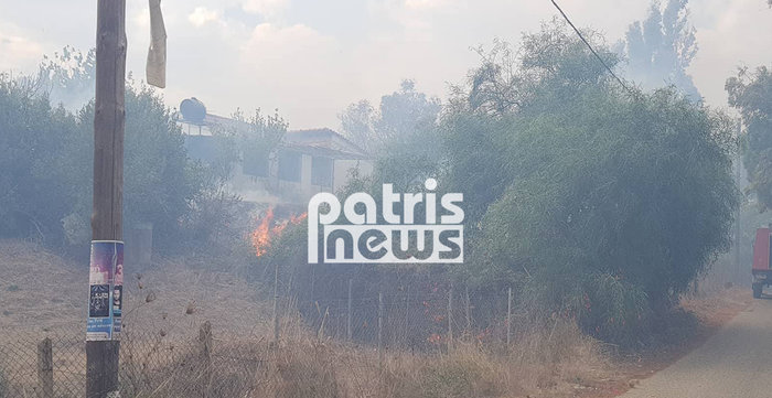 Μεγάλη φωτιά στον Πύργο Ηλείας - Εκκενώνεται οικισμός (βίντεο) - εικόνα 2