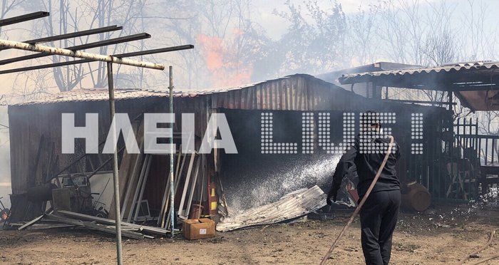 Μεγάλη φωτιά στον Πύργο Ηλείας - Εκκενώνεται οικισμός (βίντεο) - εικόνα 4