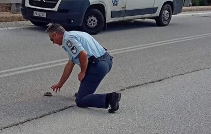 Αστυνομικός στην Καστοριά βοήθησε χελωνάκι να περάσει το δρόμο (φωτό)