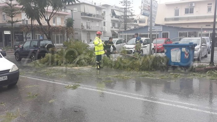 φωτό zarpanews