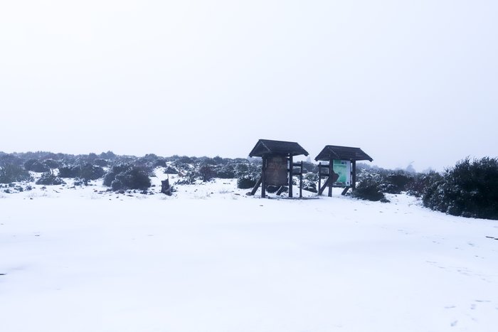 Λευκό τοπίο η Πάρνηθα - Τα πρώτα χιόνια - εικόνα 4