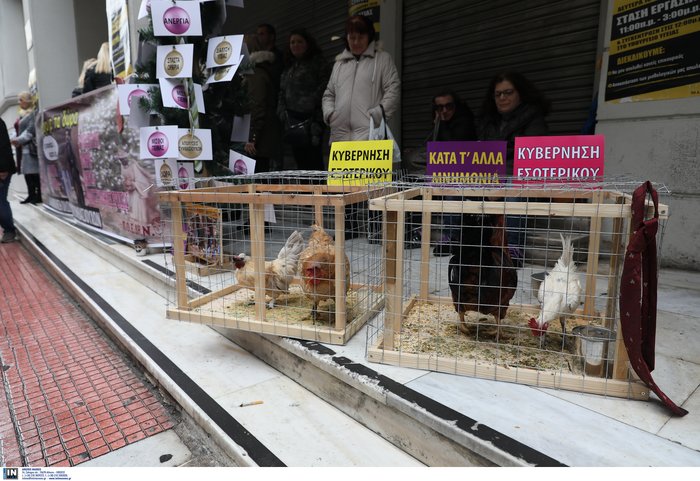 Με κότες και κόκορες η ΠΟΕΔΗΝ έξω από το υπουργείο Υγείας [Εικόνες]