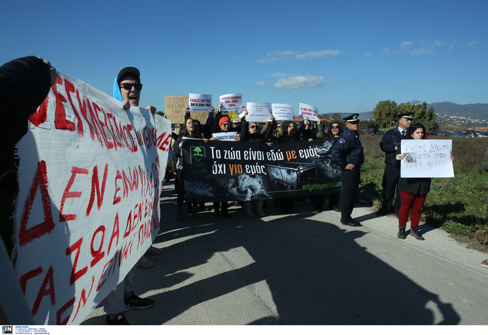 Ένταση και επεισόδια στο Αττικό Ζωολογικό Πάρκο (Εικόνες) - εικόνα 7