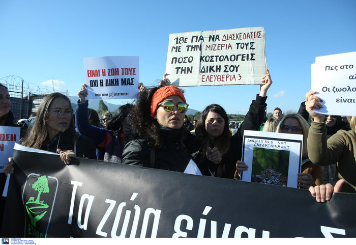 Ένταση και επεισόδια στο Αττικό Ζωολογικό Πάρκο (Εικόνες) - εικόνα 8