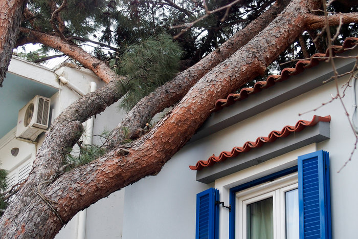 Περισσότερες από 280 κλήσεις έγιναν στην Πυροσβεστική μέσα σε 24 ώρες - εικόνα 2