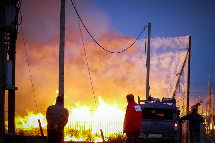 Στάχτη το εργοστάσιο ξυλείας στην Λάρισα [Εικόνες] - εικόνα 2