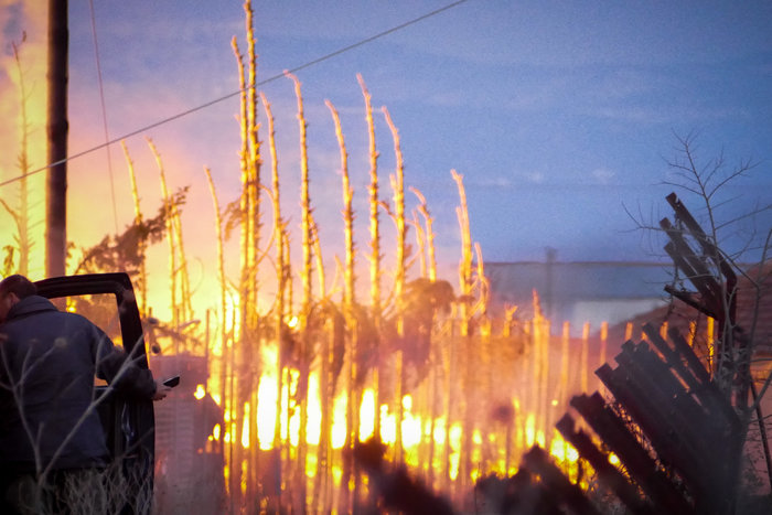 Στάχτη το εργοστάσιο ξυλείας στην Λάρισα [Εικόνες] - εικόνα 3