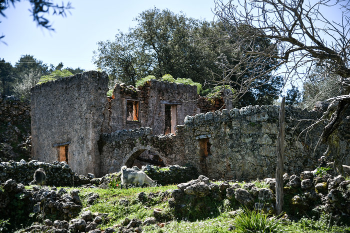 Το χωριό Αράδαινα στα Σφακιά που ερήμωσε εξαιτίας μιας βεντέτας