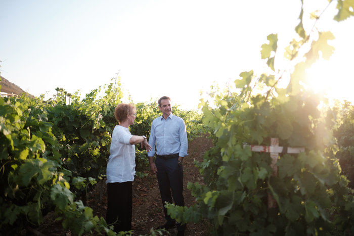 Μητσοτάκης: Οι πολίτες επέβαλαν στον κ. Τσίπρα τη διάλυση της Βουλής - εικόνα 6