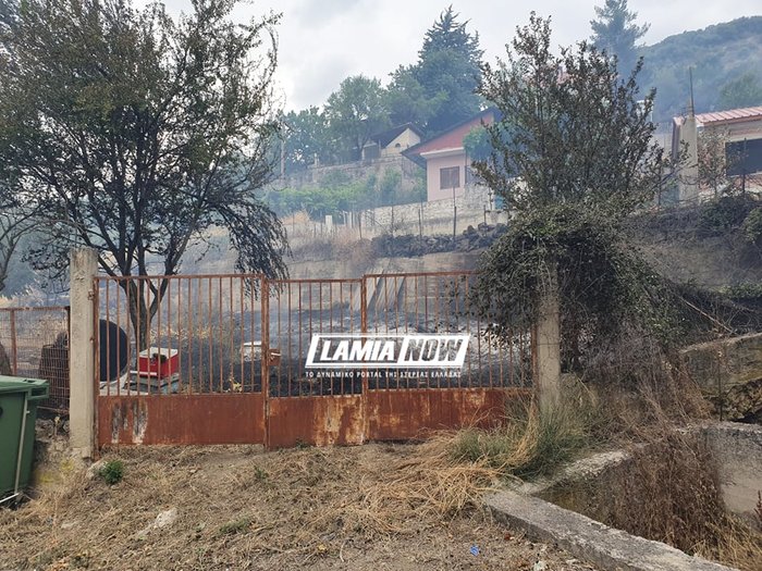 Μάχη με τις φλόγες: Μπαράζ πυρκαγιών σε επτά διαφορετικά σημεία