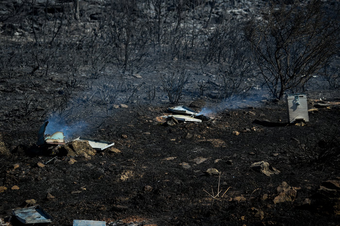 Δυσκολότερη μέρα η Κυριακή: Κατάσταση ακραίου κινδύνου-59 φωτιές το Σάββατο - εικόνα 3
