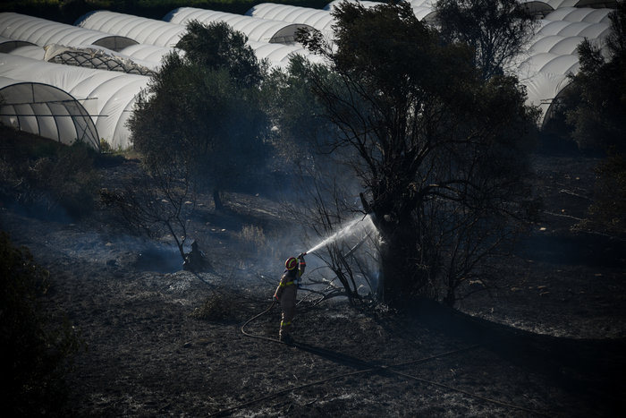 Δυσκολότερη μέρα η Κυριακή: Κατάσταση ακραίου κινδύνου-59 φωτιές το Σάββατο