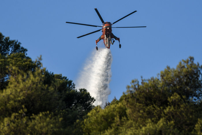 Σε ύφεση η φωτιά στη Νέα Μάκρη - Καταγγελίες για εμπρησμό - εικόνα 3