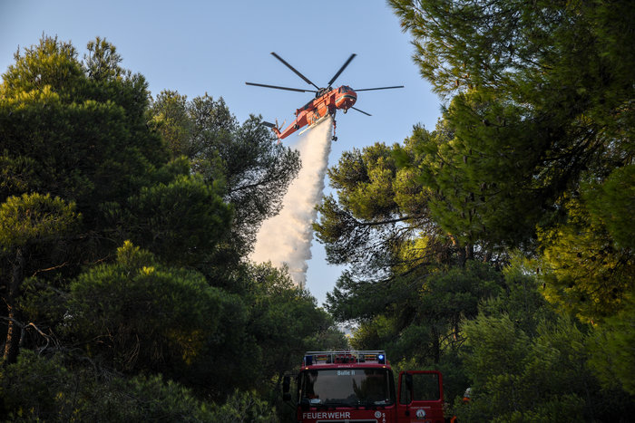 Σε ύφεση η φωτιά στη Νέα Μάκρη - Καταγγελίες για εμπρησμό - εικόνα 2