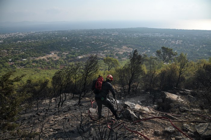 Σε ύφεση η φωτιά στη Νέα Μάκρη - Καταγγελίες για εμπρησμό - εικόνα 5
