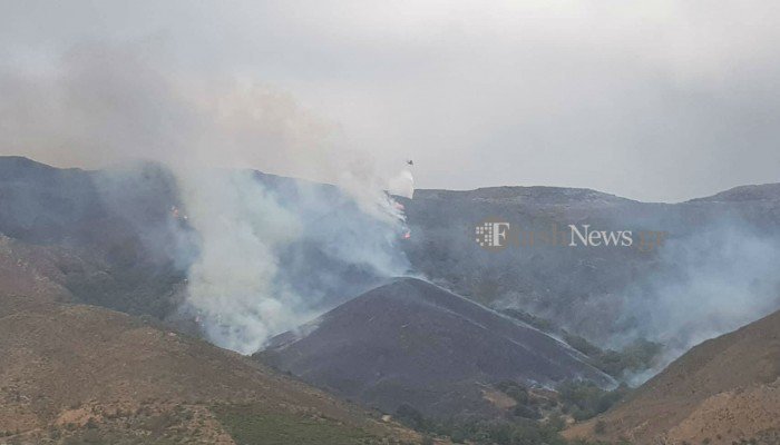 Υπό έλεγχο η φωτιά στα Χανιά - εικόνα 2