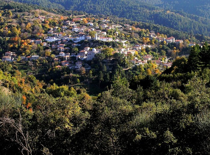 Ένα ρομπότ, ένα σχολείο, ένα καρύδι και μια μεγάλη γιορτή - εικόνα 2