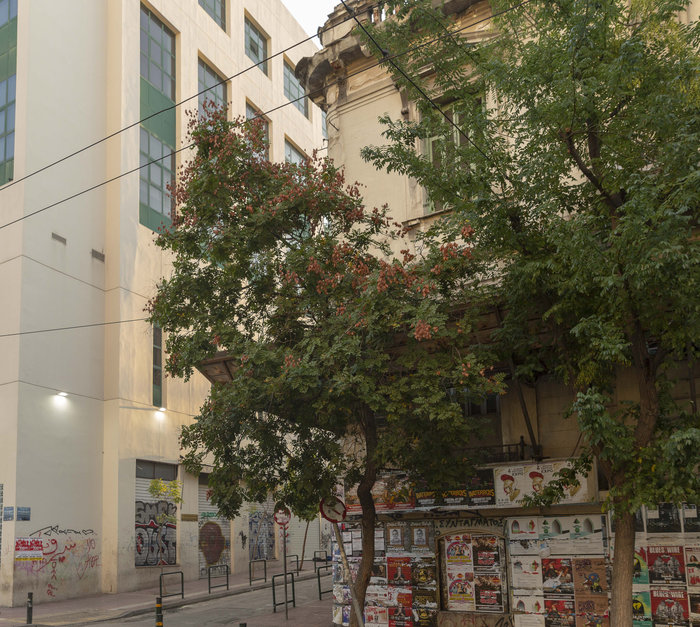 Στα πρότυπα εμπορικής επιχείρησης η «καβάτζα» της Πατησίων - εικόνα 6