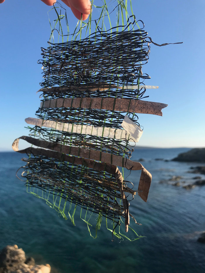 Τα αλμυρά λειβάδια της θάλασσας εμπνέουν δυο εικαστικούς (φωτο) - εικόνα 2