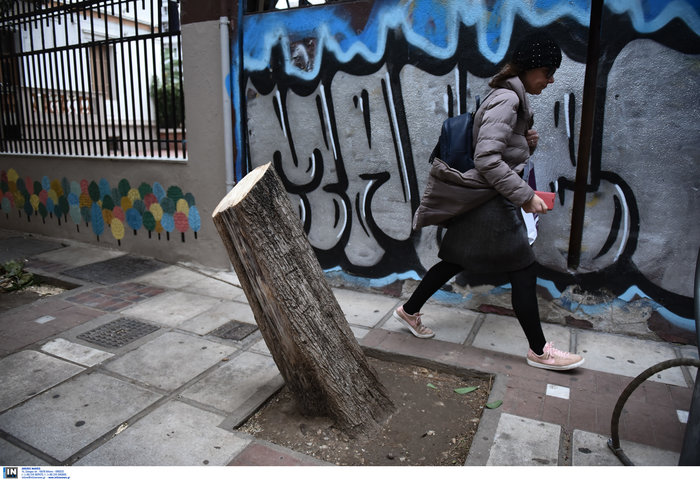 Θεσσαλονίκη:Τραυματίστηκε εργαζόμενη - Καταπλακώθηκαν ΙΧ - εικόνα 4