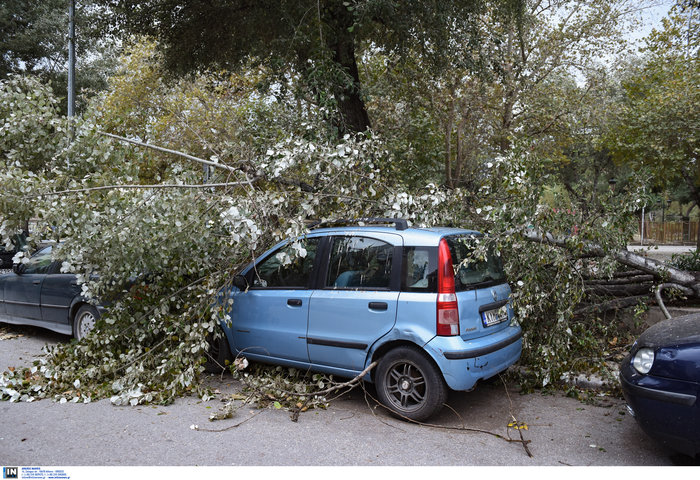Θεσσαλονίκη:Τραυματίστηκε εργαζόμενη - Καταπλακώθηκαν ΙΧ - εικόνα 3