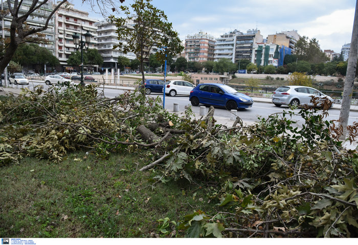 Θεσσαλονίκη:Τραυματίστηκε εργαζόμενη - Καταπλακώθηκαν ΙΧ - εικόνα 5