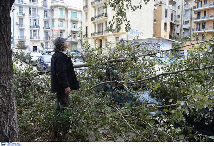 Θεσσαλονίκη:Τραυματίστηκε εργαζόμενη - Καταπλακώθηκαν ΙΧ - εικόνα 7