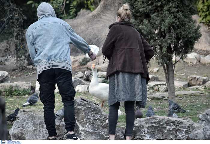 Απολαύστε μια χειμωνιάτικη βόλτα στον Εθνικό Κήπο [εικόνες] - εικόνα 8