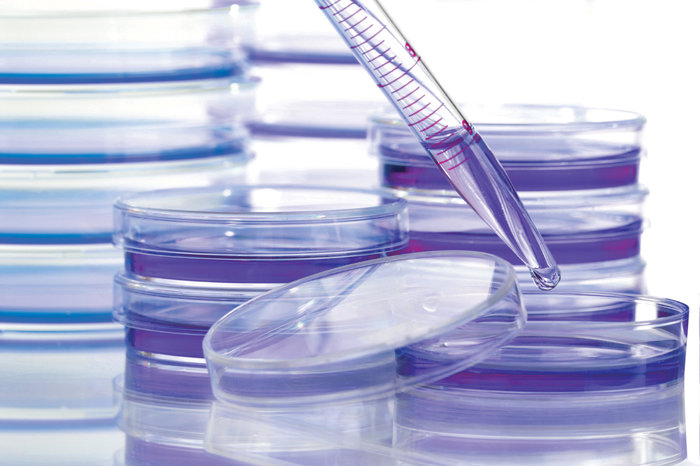 Παγκόσμια Ημέρα Κατά του Καρκίνου με ελλείψεις φαρμάκων - εικόνα 2